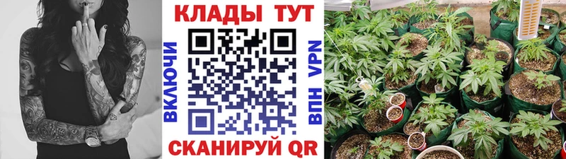 Сколько стоит Вилючинск Гашиш Каннабис АМФЕТАМИН Меф мяу мяу