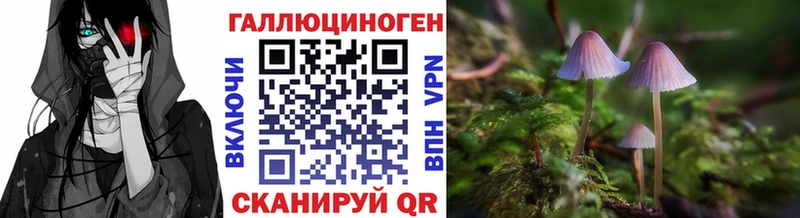 Псилоцибиновые грибы Psilocybine cubensis  omg вход  Вилючинск 